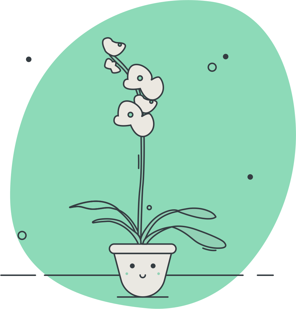 Server rendered illustration